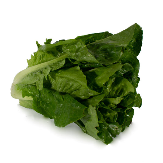 Lechuga Romana Orgánica 400 g certificada Ecocert