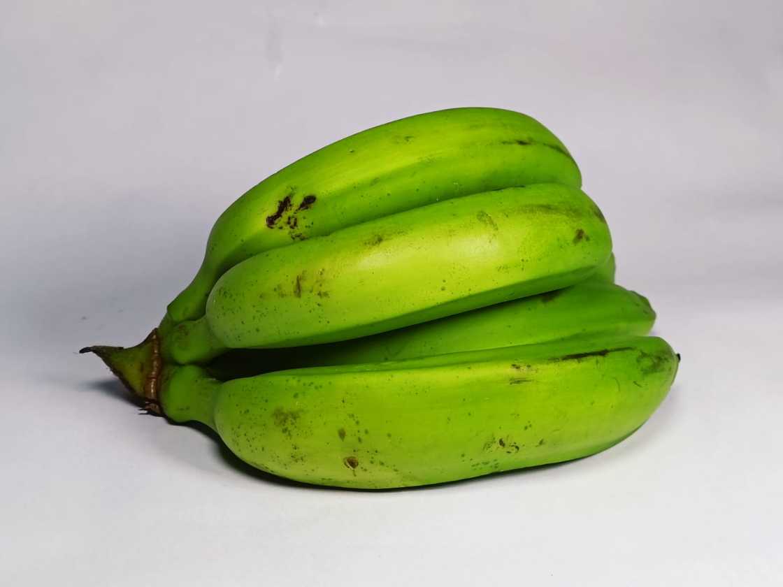 Banano Criollo