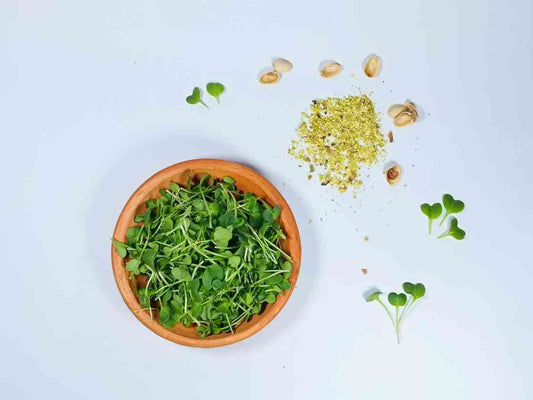 Microgreens de mostaza  50 g